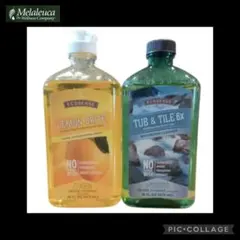 Item thumbnail for item 646c3df5-f894-4607-b188-6b66c4ec4f1b