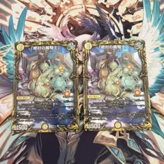 「絶対の楯騎士」 アブソリュートシールドナイトaシク2枚セットのサムネイル