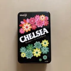 明治 チェルシー　ソーイングセット 裁縫セット　meiji