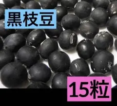 3909○150粒以上山椒の種京都丹波産①送込￥320［260525］ - メルカリ