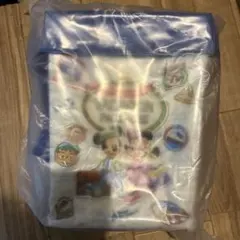 東京ディズニーリゾート　バケーションパッケージ　ポップコーンバケット