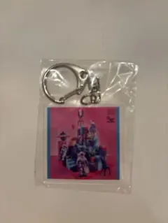 UNISON SQUARE GARDEN アクリルキーホルダー　2点　バラ売り可