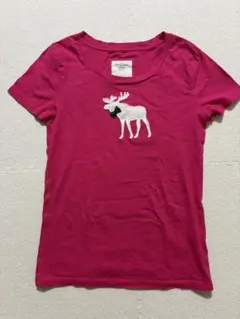 Abercrombie & Fitch ロゴTシャツ ピンクのサムネイル