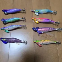 セール品＞パプア-インドネシア陸貝5個セット - メルカリ