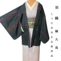 袖なし羽織】陣羽織＊濃藍の紗 ｜四角柄が映えるモダンデザイン haori 