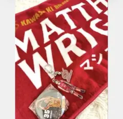 川崎ブレイブサンダース　2024-25 マシューライト