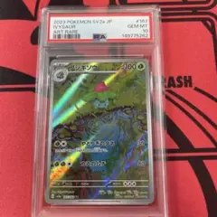 PSA10】フシギソウAR SV2a ポケモンカード - メルカリ