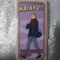 ハイキュー チケットファイル 夜久衛輔