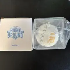 TWICE ジヒョ HOME9ROUND popup ペンミ ベースボール 本体