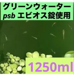 グリーンウォーター(psb 光合成細菌　ホテイアオイ　メダカ　水草　ゾウリムシのサムネイル