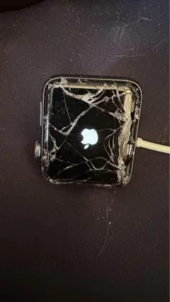 へ*ん様 ゆ*る様 Apple Watch Series 3 GPS+Cellu