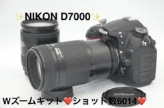 Nikon D3100 ダブルズームキット ショット数1964！ 819007 - メルカリ
