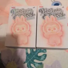 正規品 定価以下‼️ ラブブエナジー 2セット‼️未開封 POPMART