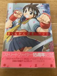 中平正彦先生のストリートファイター漫画 全8冊セット 中平正彦先生のストリートファイター漫画 全8冊セット
