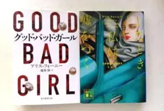 グッド・バッド・ガール、　ときどき私は嘘をつく　アリス・フィーニー作品2冊セット
