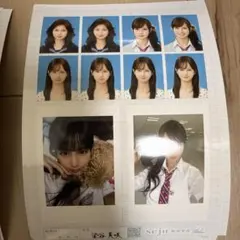 せじゅ証明写真