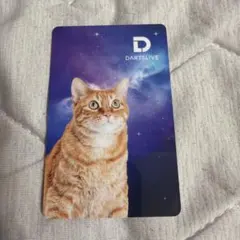 DARTSLIVE CARD ダーツライブカード 黒猫 - メルカリ
