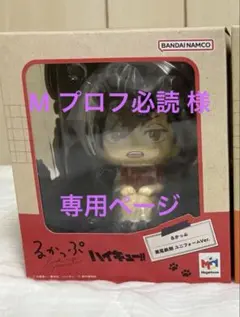 M プロフ必読様 専用