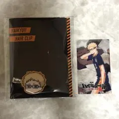 ハイキュー ゴミ捨て場の決戦展 月島蛍