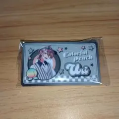 カラフルピーチ うり おなまえバッジコレクション