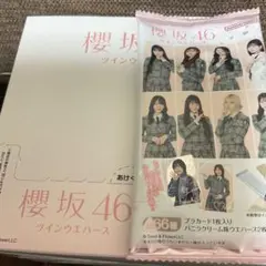 Item thumbnail for item 490acba2-fb00-42a3-bd85-2e61b6d79710