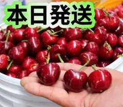 フォロワー限定‼️アメリカンチェリー　チェリーさくらんぼ车厘子箱込み1kgのサムネイル