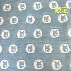 6重ガーゼ fuwara 限定 ライオン お昼寝サイズ