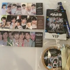 EVNNE VIP グッズ　セットファンコン　ペンコン　特典
