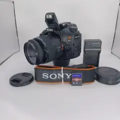 2026年最新】α65 レンズの人気アイテム - メルカリ