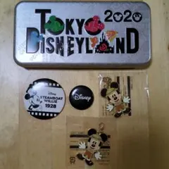 Disney　東京ディズニーランド　リゾート 2020 缶バッジセット