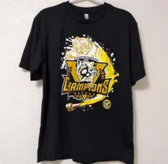 阪神タイガース 2025