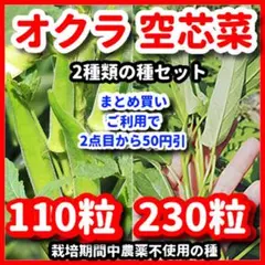 オクラ＆空芯菜の種セット⭕️のサムネイル