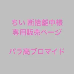 ちい 断捨離中様　専用