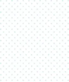 専用