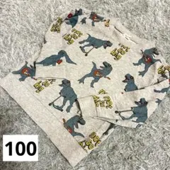 ハッカキッズ　HAKKA KIDS 恐竜柄 トレーナー 100cm グレー　総柄