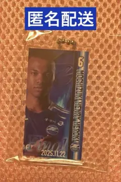 〈天皇杯 ファイナル〉FC 町田ゼルビア 6 望月ヘンリー海輝 選手 アクキー