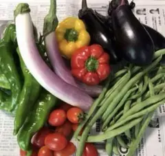 2.コンパクトボックス数量限定❗️減農薬夏野菜お楽しみセット新鮮野菜たくさん！のサムネイル