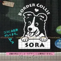 ボーダーコリー No.4　名前入 カッティングステッカー ドッグインカー　シール