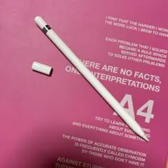 Apple pencil 第一世代　※ほぼジャンク品説明読んでみてください
