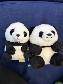 パンダぬいぐるみ2体セット