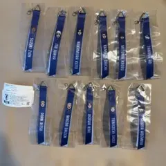 サッカー日本代表 SAMURAI BLUE キーホルダー 11種セット