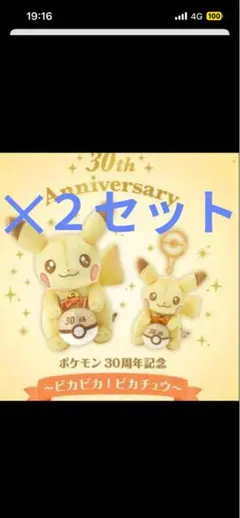 ポケモン 30周年記念 ピカチュウ ぬいぐるみセット アクリルキーホルダー