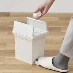 KEYUCA ケユカ 両開きダストボックス SSサイズ（3.6L）のサムネイル