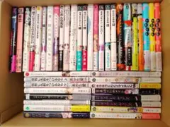 BLコミック まとめ売り 49冊 ボーイズラブ漫画