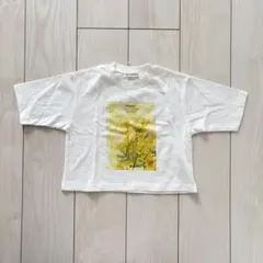 爆安セール！　新品タグ付き　ブランシェス　半袖　Tシャツ　100cm