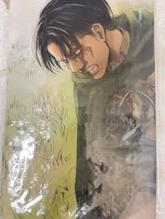レア！進撃の巨人 オリジナルレジャーシート リヴァイ