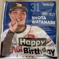 Item thumbnail for item 5bce0b21-6871-46c1-8b27-4db956e8dcc6