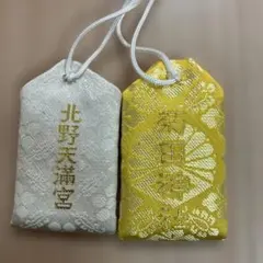 Item thumbnail for item 5ba23d20-f3b9-482c-9cc7-be67644118be