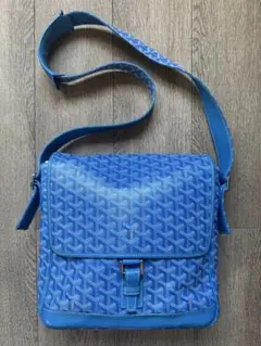 日本橋高島屋購入】Goyardショルダーバッグ - メルカリ