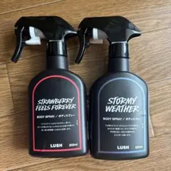 LUSH KARMA ボディスプレー ＆ クリーム ＆ フットパウダー3点セット LUSH KARMA ボディスプレー ＆ クリーム ＆ フットパウダー3点セット
